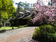 Front a
